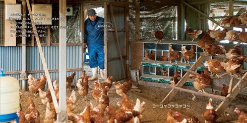 ©キッチンミノル／白泉社