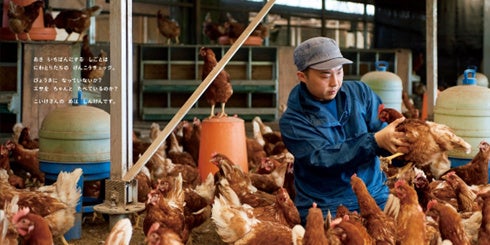 ©キッチンミノル／白泉社