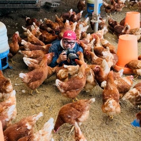 ©キッチンミノル／白泉社