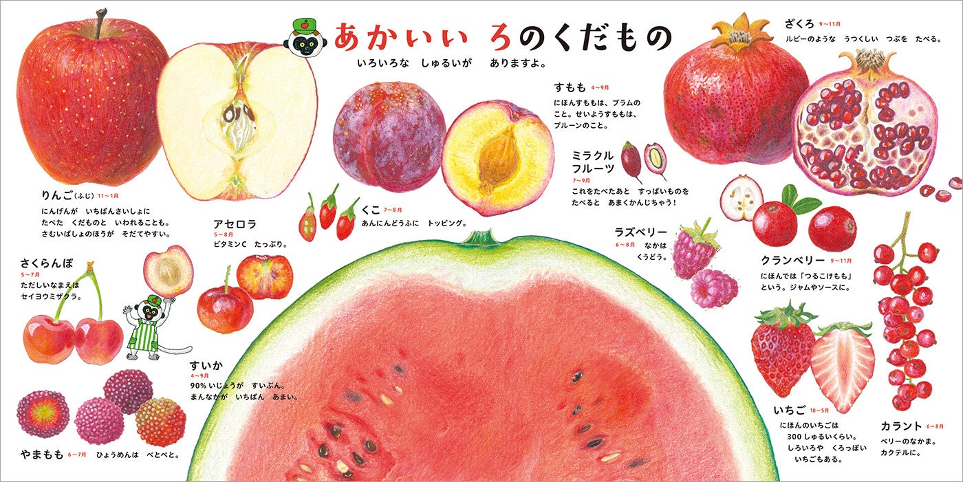 ©大森裕子／白泉社