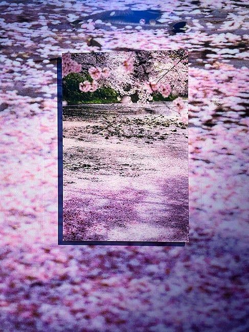 弘前れんが倉庫美術館「蜷川実花展 with EiM 儚くも煌めく境界」より　撮影／MOE編集部