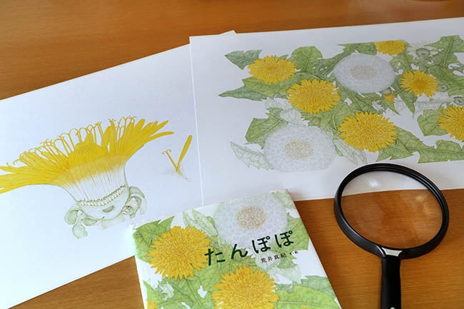 『たんぽぽ』（荒井真紀／文・絵　金の星社）より　撮影／かくたみほ
