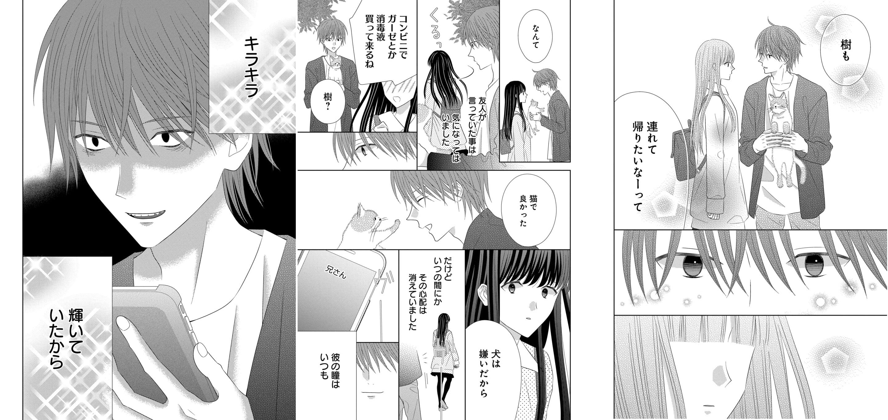 ©真宮圭／白泉社