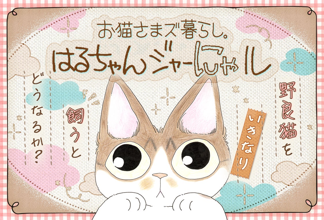 ピンクの猫様 専用ページ 【公式通販】 ピンクの猫様 専用ページ 【公式通販】