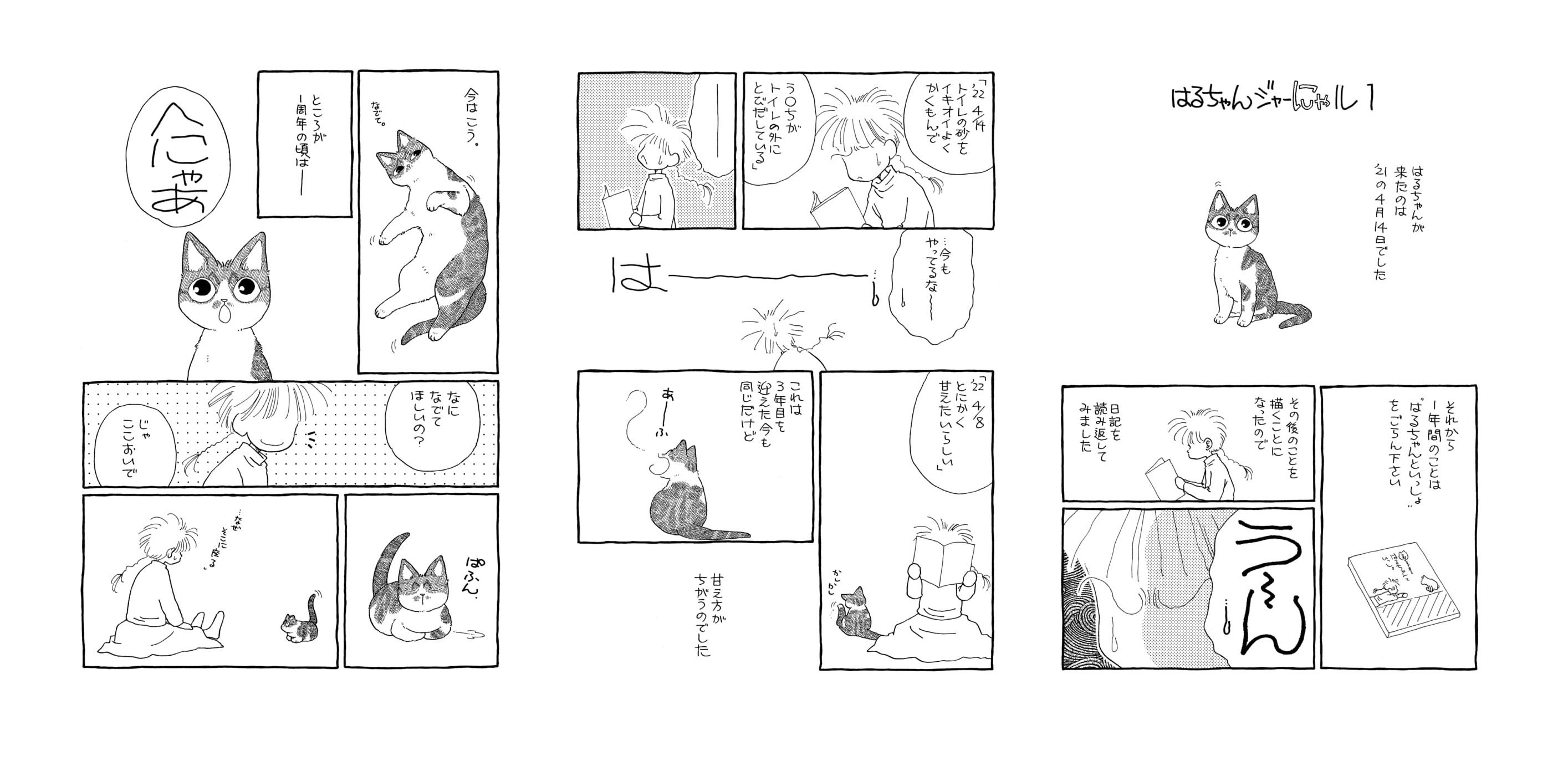 ©わかつきめぐみ／白泉社