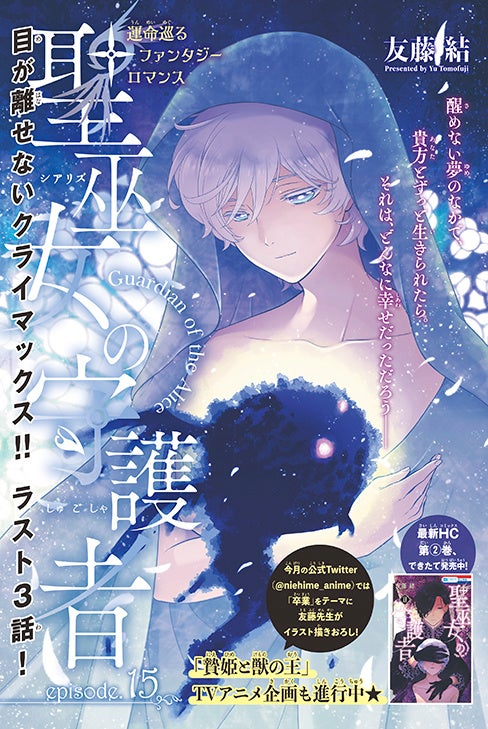 カラーつき「聖巫女の守護者」（友藤結）