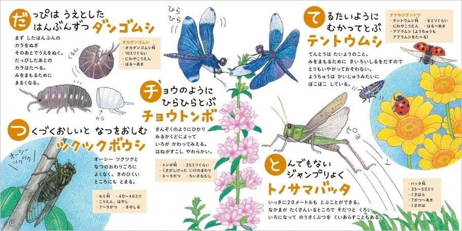 『むしのずかん ものしりあいうえお』中面　©雨宮尚子／白泉社