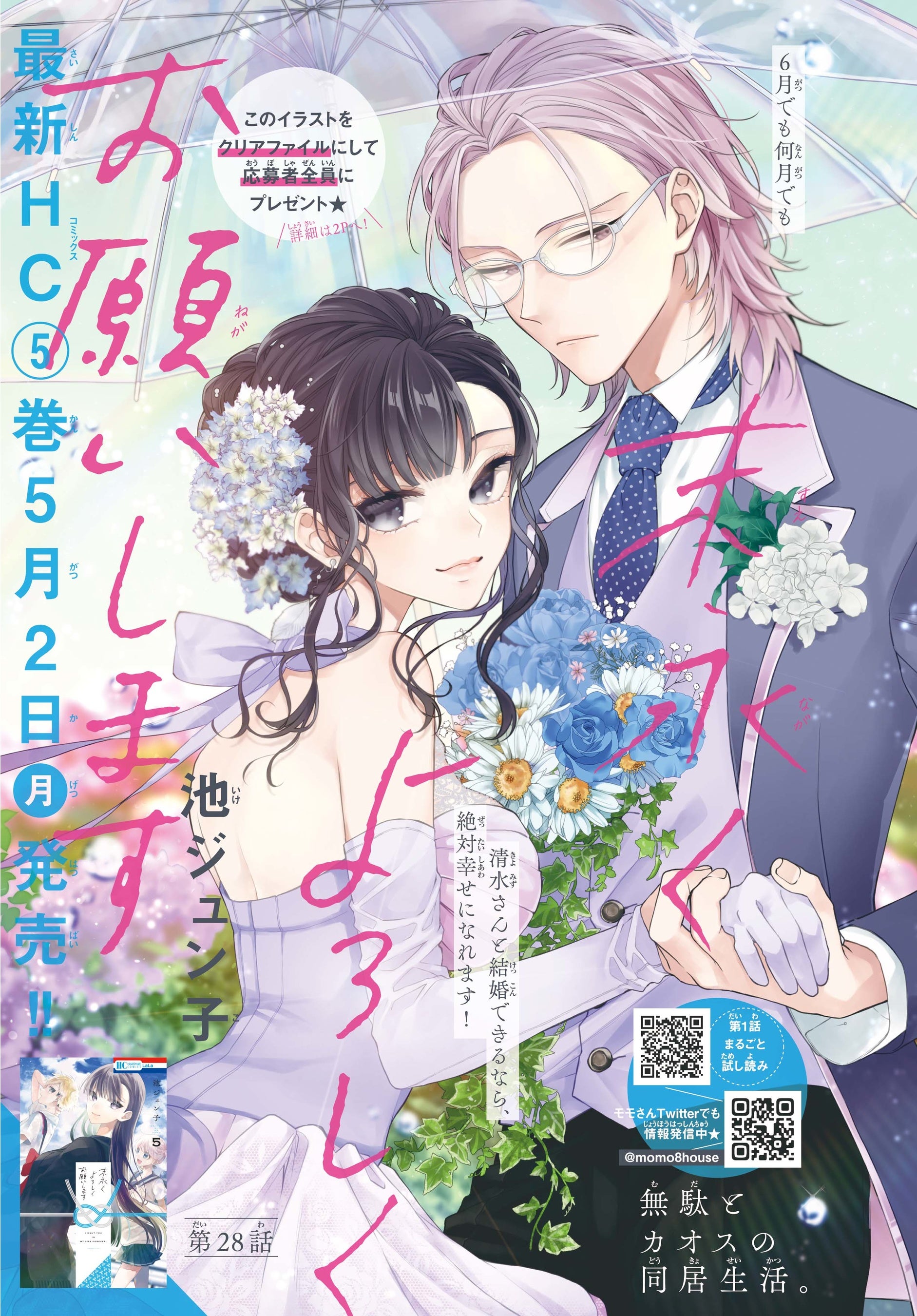 夏目友人帳 ニャンコ先生 22年 Lala ふろく クリアファイル ネコ 付録 描き下ろし 新品 猫 緑川ゆき 非売品 ５月号 セール品 クリアファイル