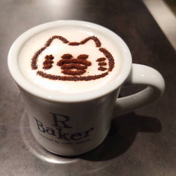 ラテ　©Noriko Kudoh／Hakusensha