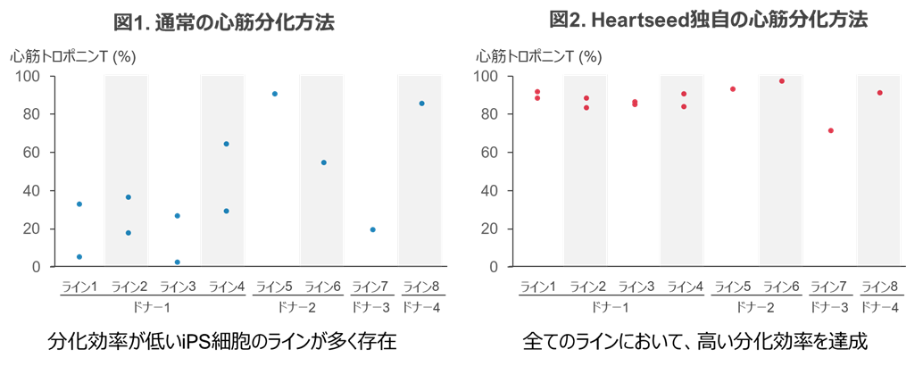 心筋トロポニンT： 心筋細胞のマーカーで、このマーカーが陽性の割合が心筋細胞の純度を示します。