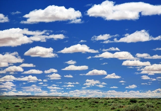 ゴビ砂漠(モンゴル)