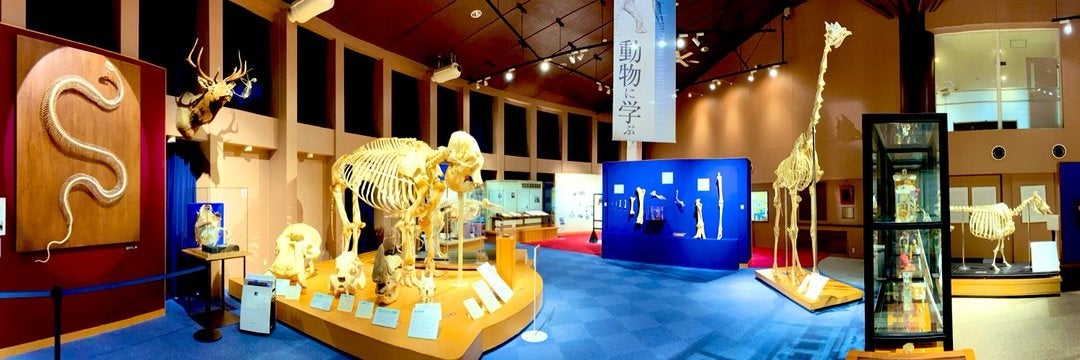 館内の展示の様子