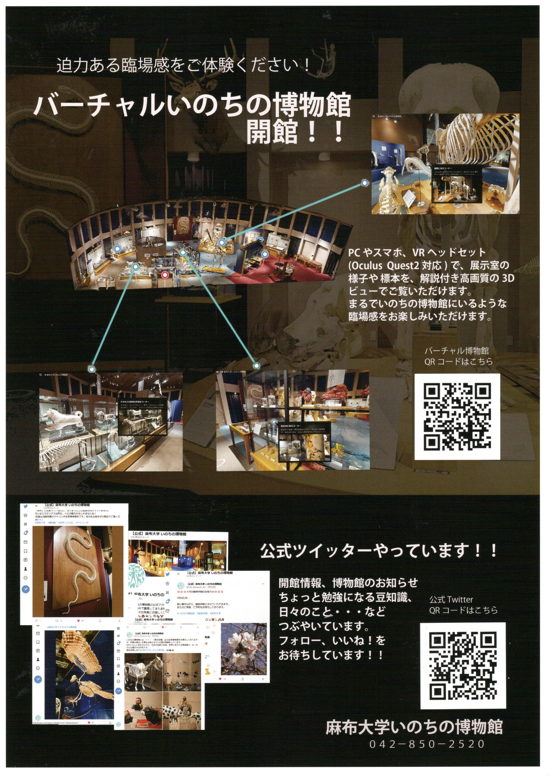 バーチャル博物館のチラシ