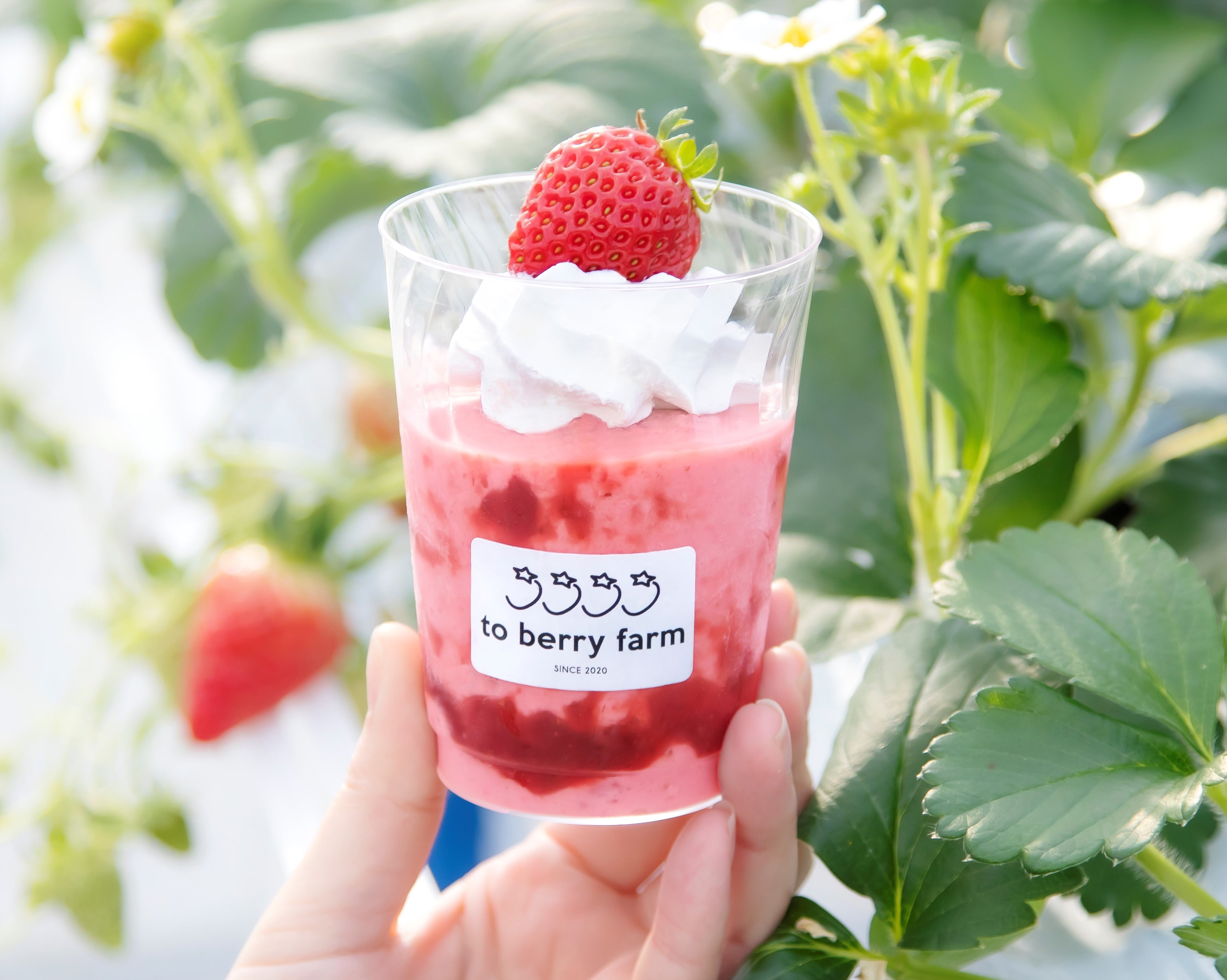 ＜to berry farm＞ いちごシェイクリーム 663円 ※8日（火）までの出店