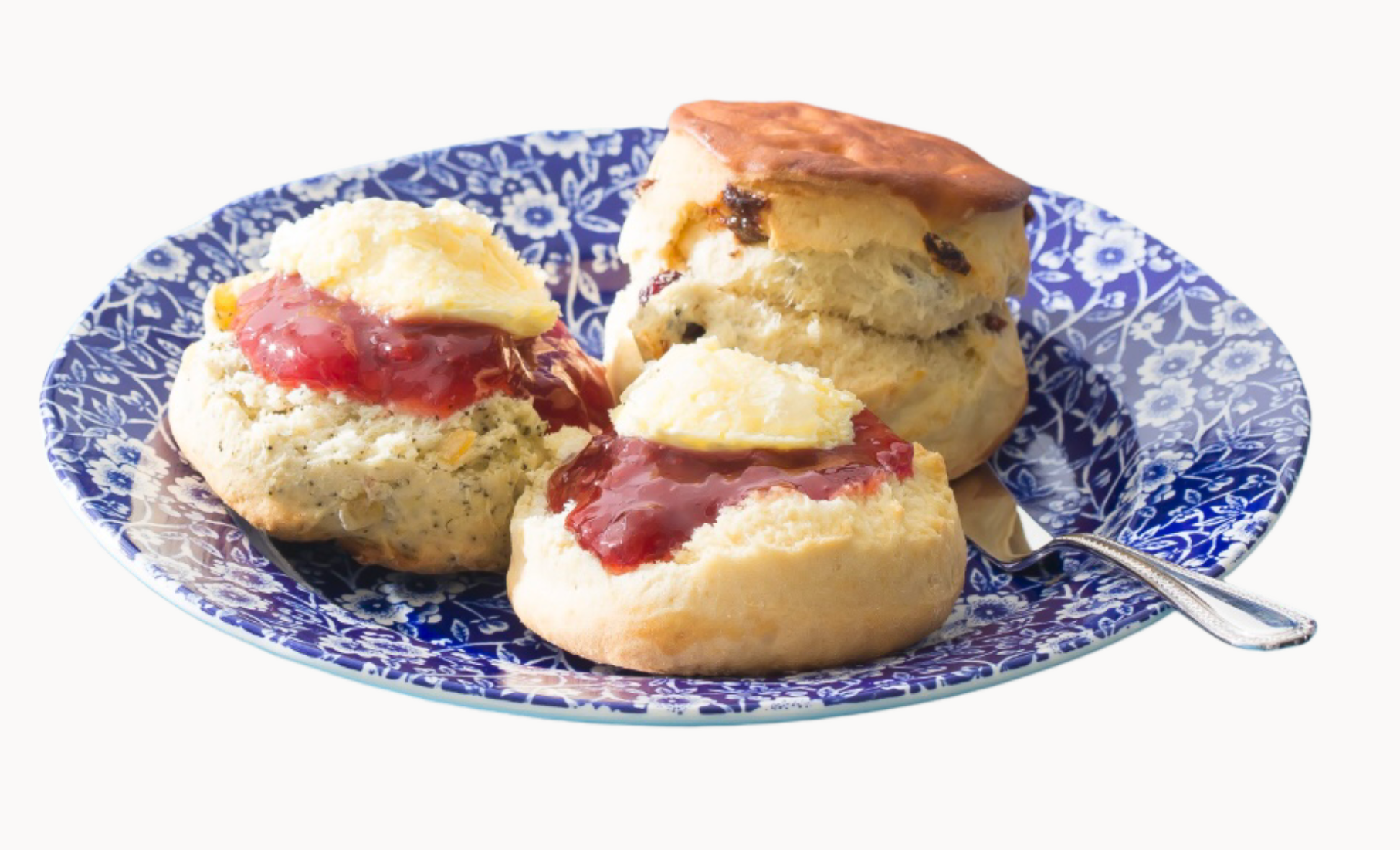 ＜シーハムホール＞ スコーン各種 （プレーン・アールグレイレモン・ メープルピーカンナッツ・フルーツ） 各 297円  ※ジェイアール名古屋タカシマヤ先行販売　※実演