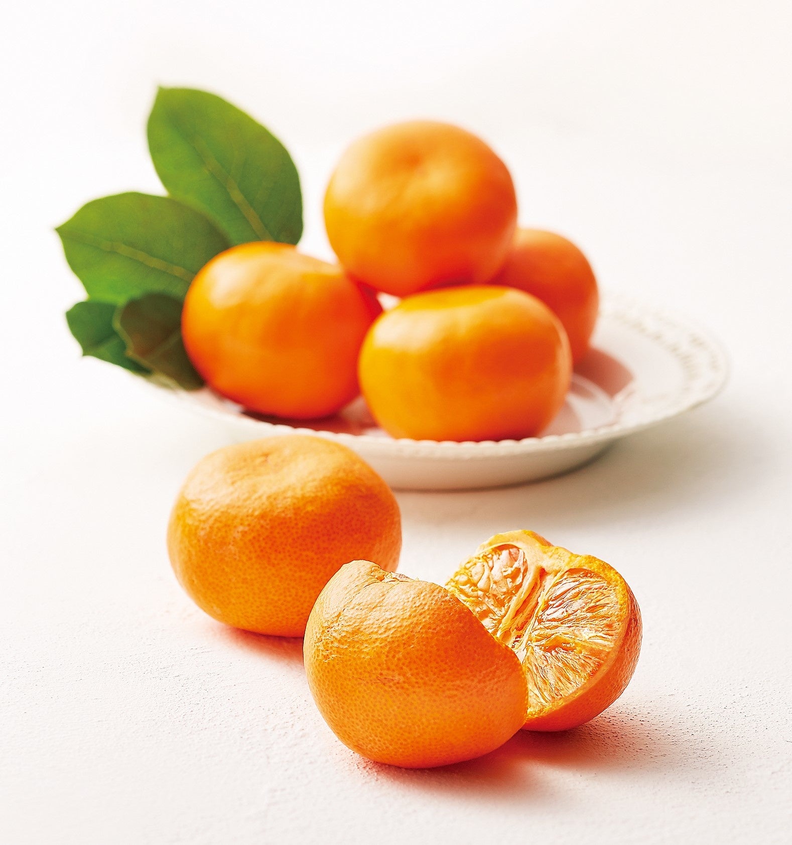 ＜KOBOYA＞ みはまっこ 5,400円～