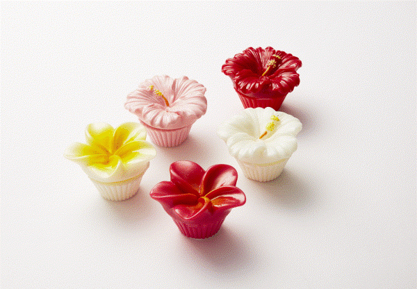 ＜マイレリーフハワイ＞ リップグロス  各1,650円