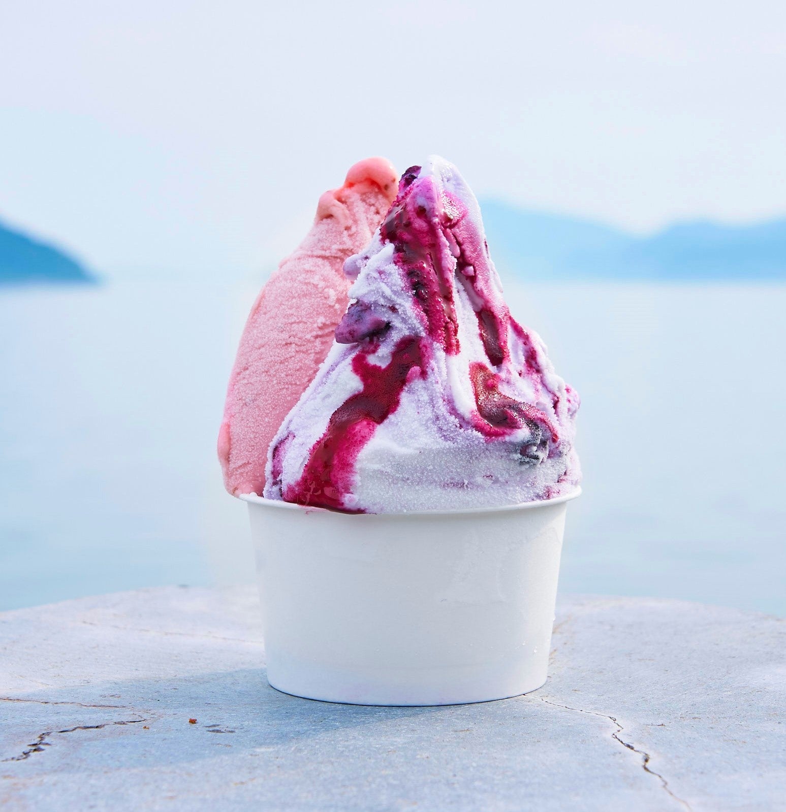 香川県＜MINORI GELATO＞ジェラート2種盛り（ブルーベリーヨーグルト×すももソルベ） 501円