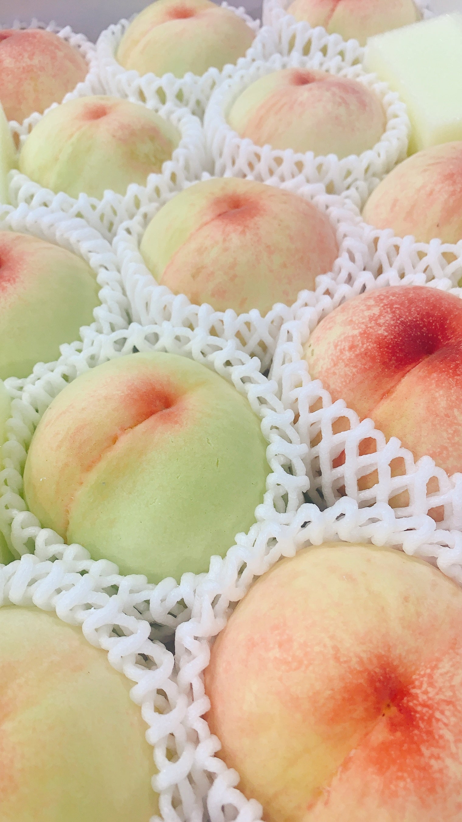 岡山県産 「岡山白桃」