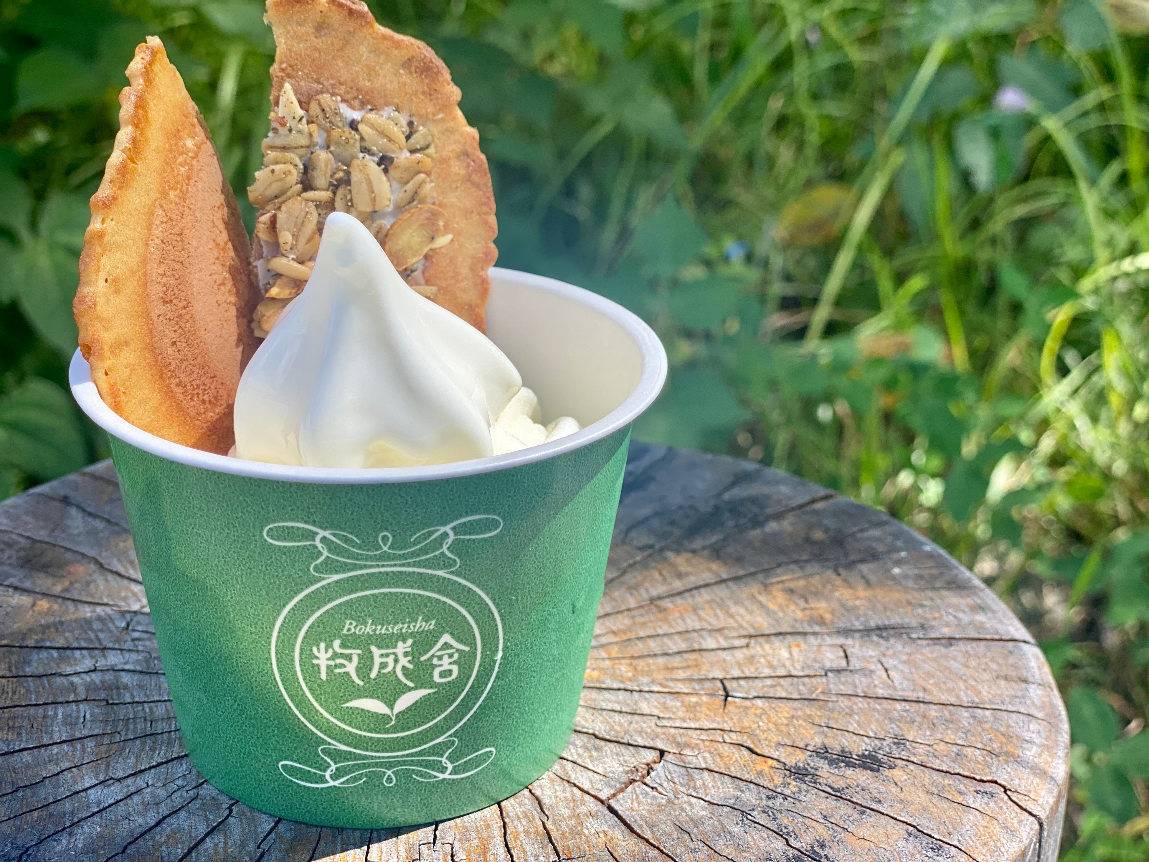 ＜飛騨の牛乳屋・牧成舎＞ ジャージーソフトクリーム 井之廣 せんべいトッピング　（1個）431円