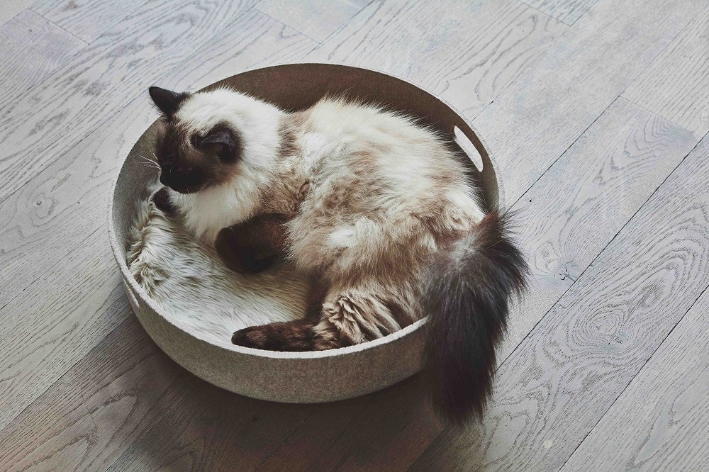 ＜ミアカラ＞キャットバスケット　31,900円※＜ハース＞での取り扱いとなります。