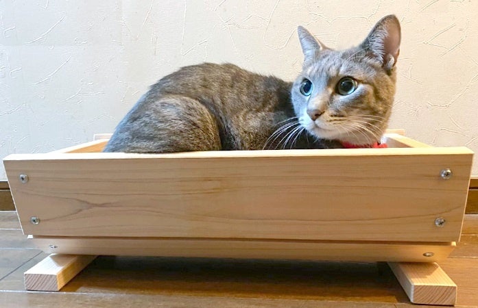 ＜中川木材＞ ねこプランター 5,500円