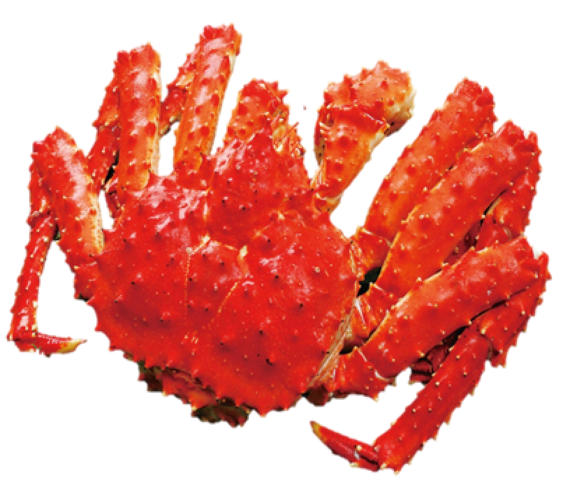 ＜札幌蟹販＞ 冷凍ボイルたらば脚 （100ｇ当り） 2,700円 ■地下2階 ウィークリースポット