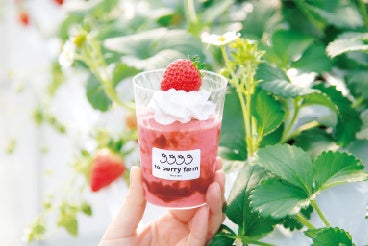 7日（火）までの出店 ＜to berry farm＞ いちごシェイクリーム 701円