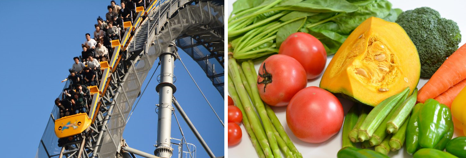 ジェットコースターの運転音や野菜のカット音など