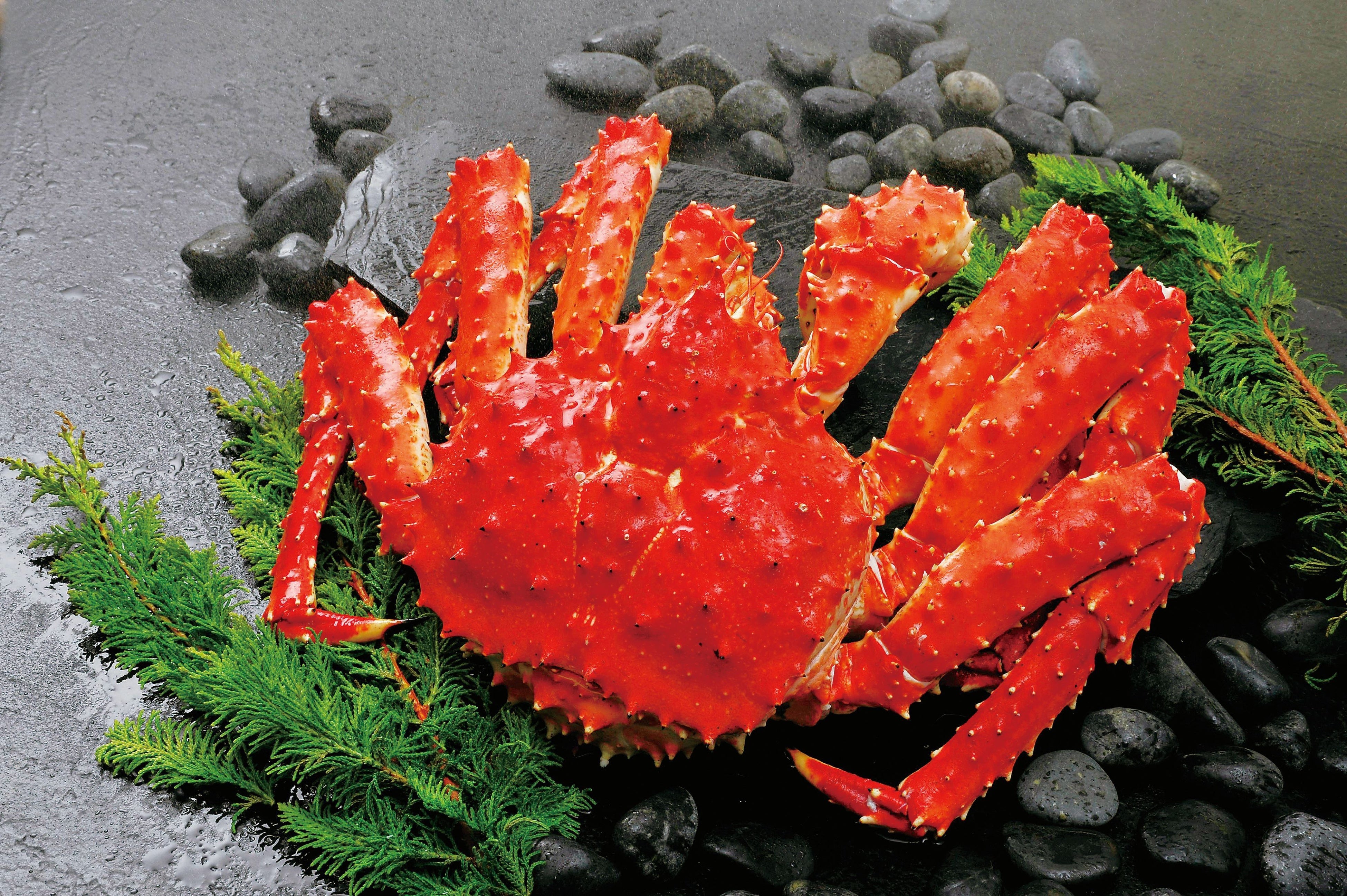 ＜札幌蟹販＞ 冷凍ボイルたらば脚  （100g当り） 2,700円