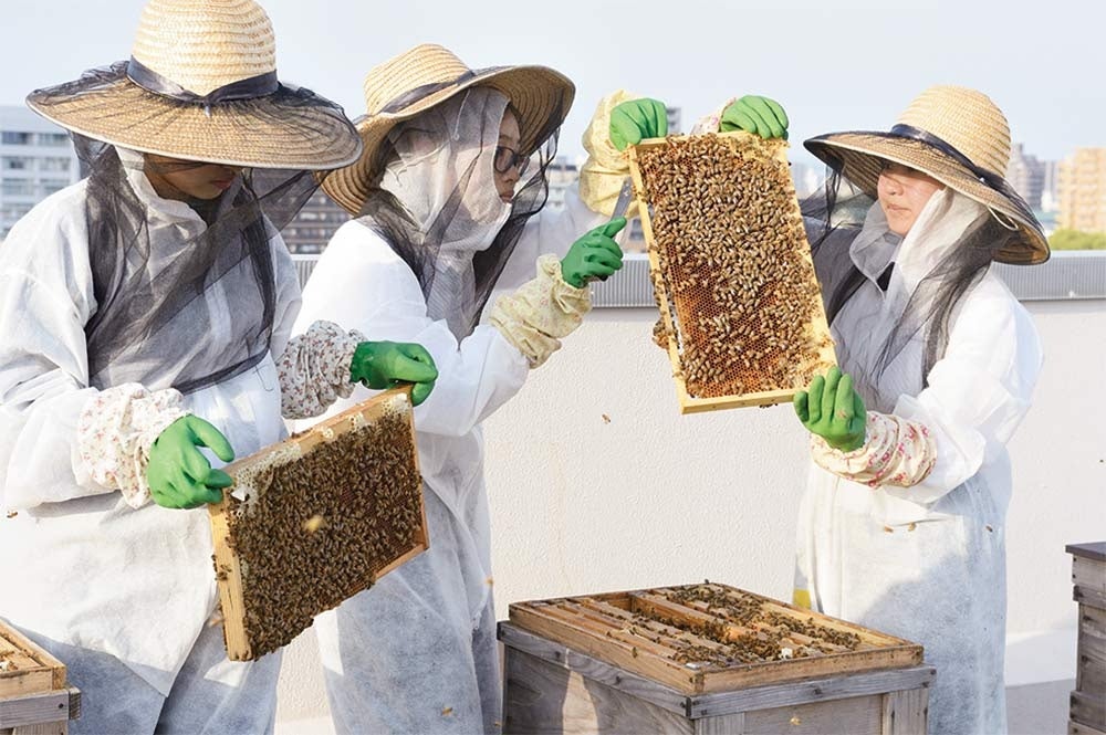 学校の屋上で養蜂し採蜜した徳川はちみつを使用