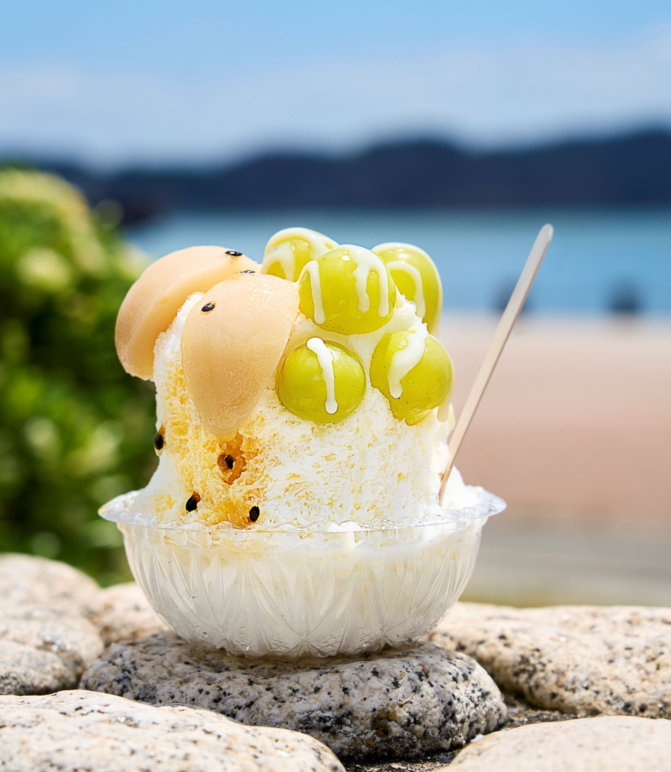 岡山県玉野市＜おまち堂本店＞ 晴れの国スペシャル ～シャインマスカット&白桃～ （1杯）1,980円 ※各日50杯限り