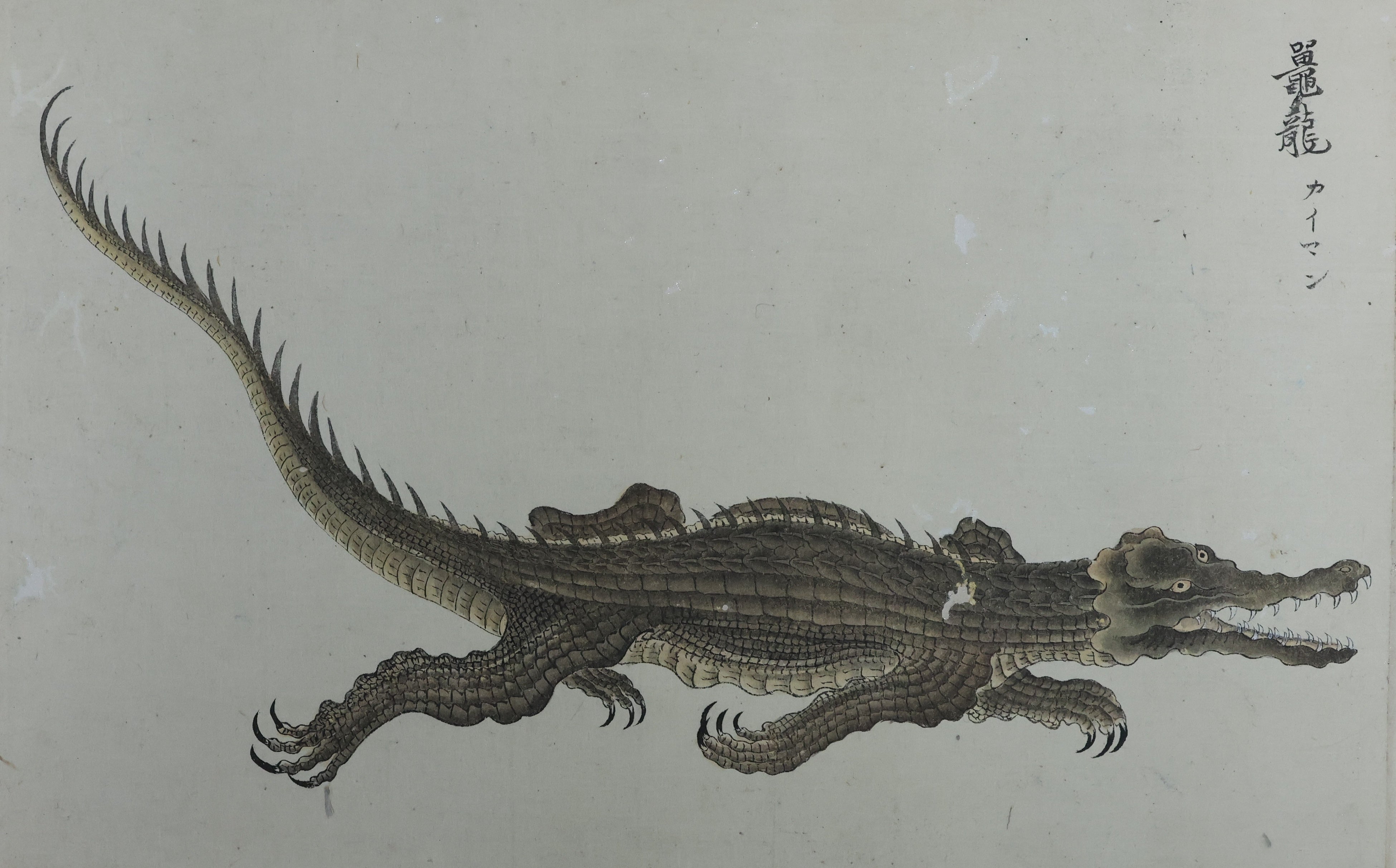 国立科学博物館】企画展「ワニ」開催のお知らせ | 文化庁のプレスリリース