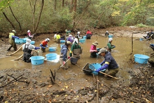 【国立科学博物館 附属自然教育園】自然教育園 池沼の自然再生プロジェクト~かいぼりで美しい水辺と豊かな生態系の復活を目指す~ 【国立科学博物館 附属自然教育園】自然教育園 池沼の自然再生プロジェクト~かいぼりで美しい水辺と豊かな生態系の復活を目指す~