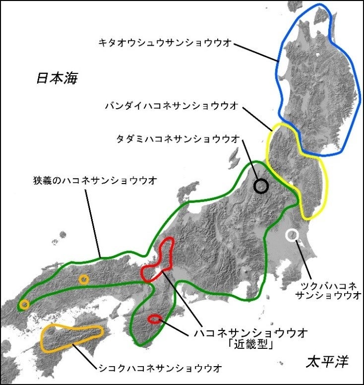 図1.2021年までの日本産ハコネサンショウウオ属6種と「近畿型」の分布。(国土地理院発行の「陰影起伏図」を用いて作図)