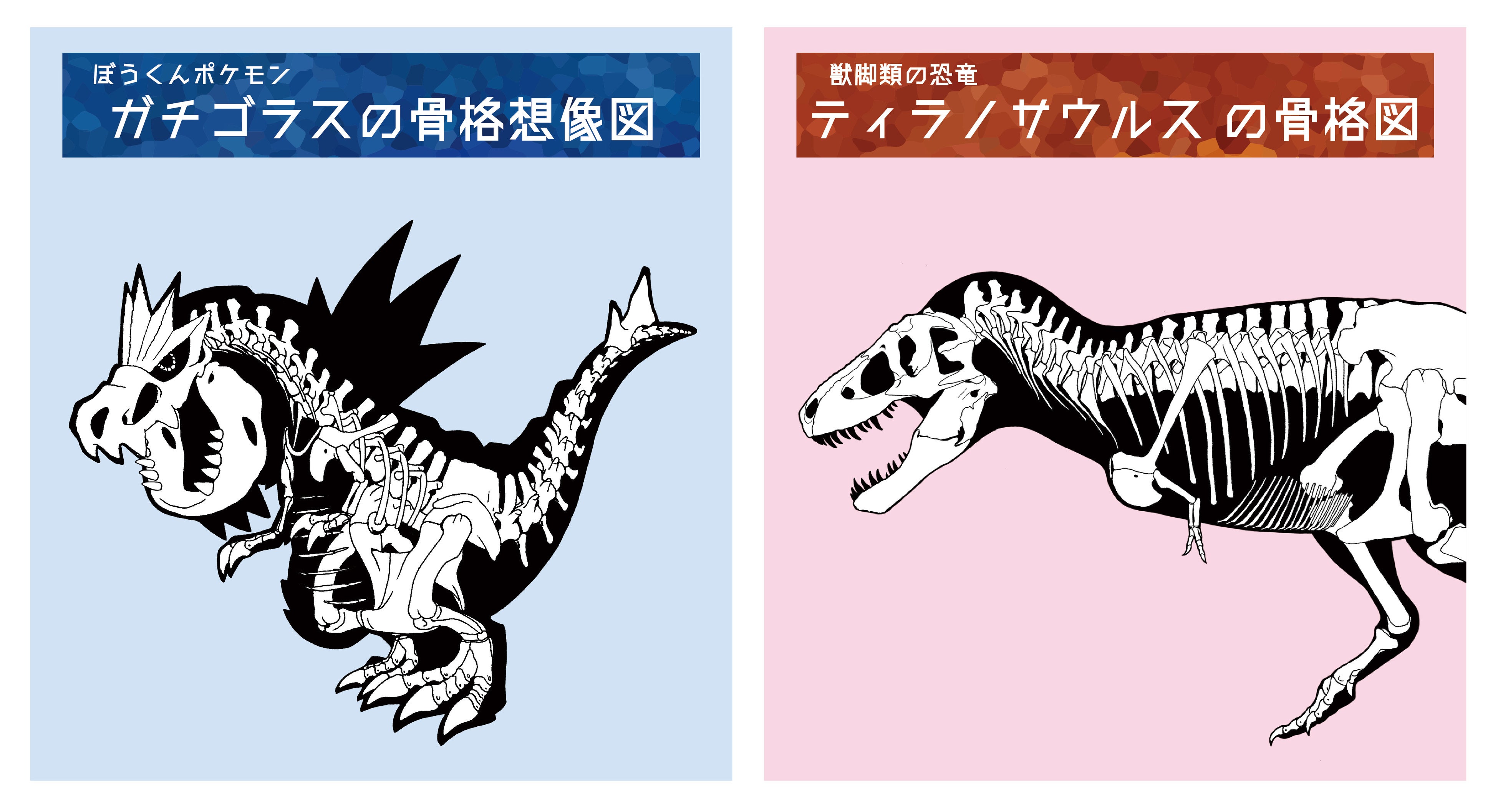 展示の見どころ２