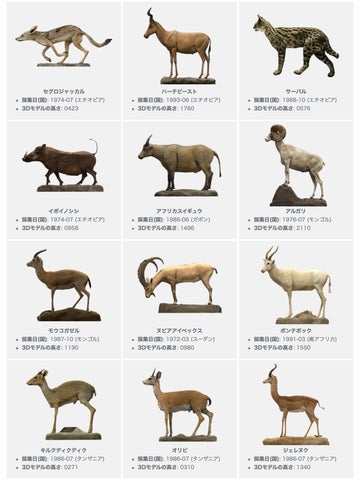 ツノのある動物図鑑 キリン BOX 国立科学博物館 Amazon.co.jp: ツノのある ツノのある動物図鑑 キリン BOX 国立科学博物館 Amazon.co.jp: ツノのある