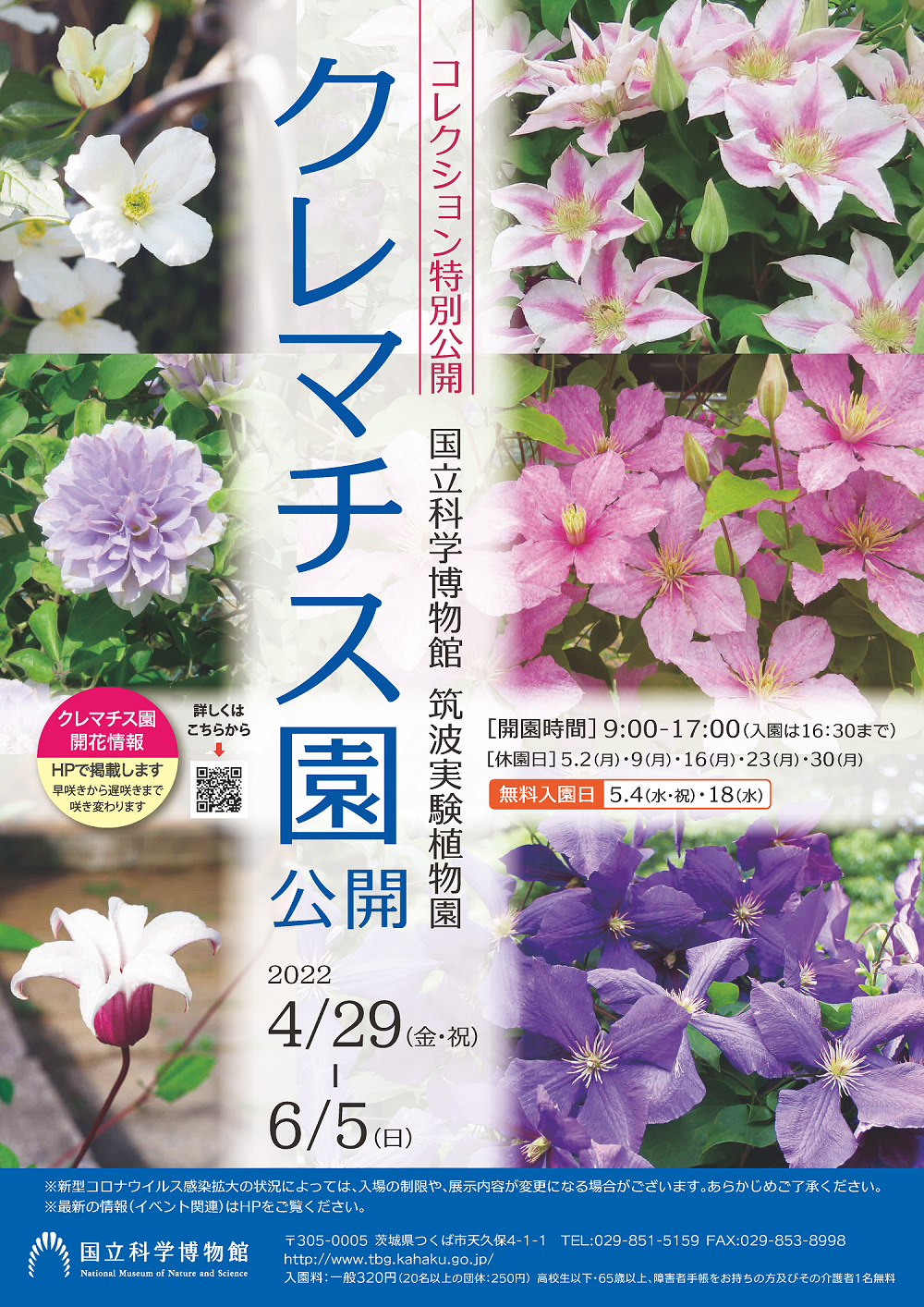 国立科学博物館 筑波実験植物園 コレクション特別公開 クレマチス園公開 のご案内 文化庁のプレスリリース