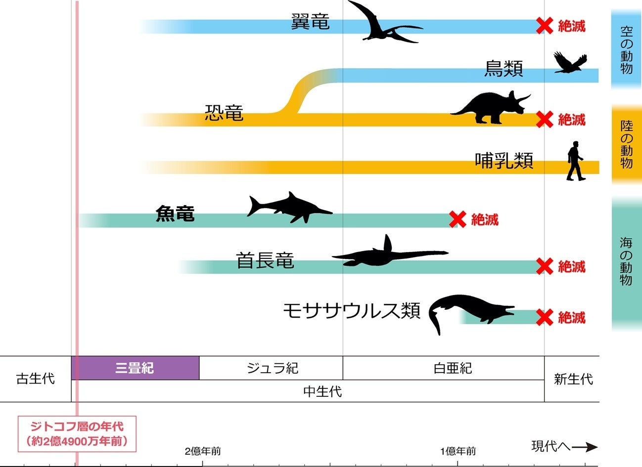 中生代の空・海・陸の主な動物の生息期間、およびジトコフ層の年代についての概略図。