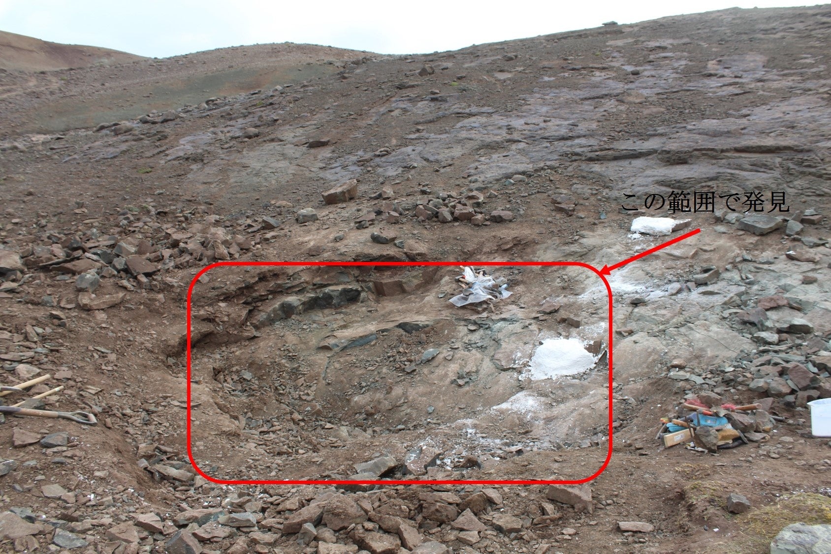 図３：化石の発掘地