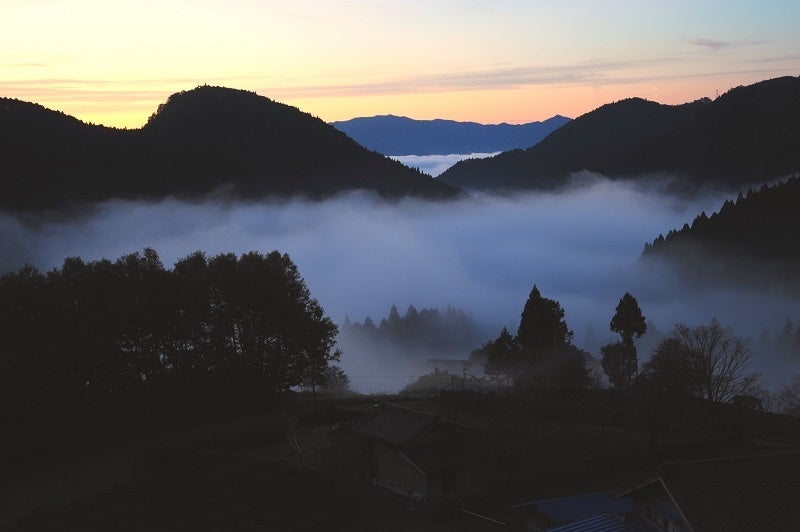 御園の雲海　深山幽谷の趣漂う奥三河地方・東栄町（御園地区）。「花祭」は、険しい山で修行を積んだ修験者からもたらされたと言われる。