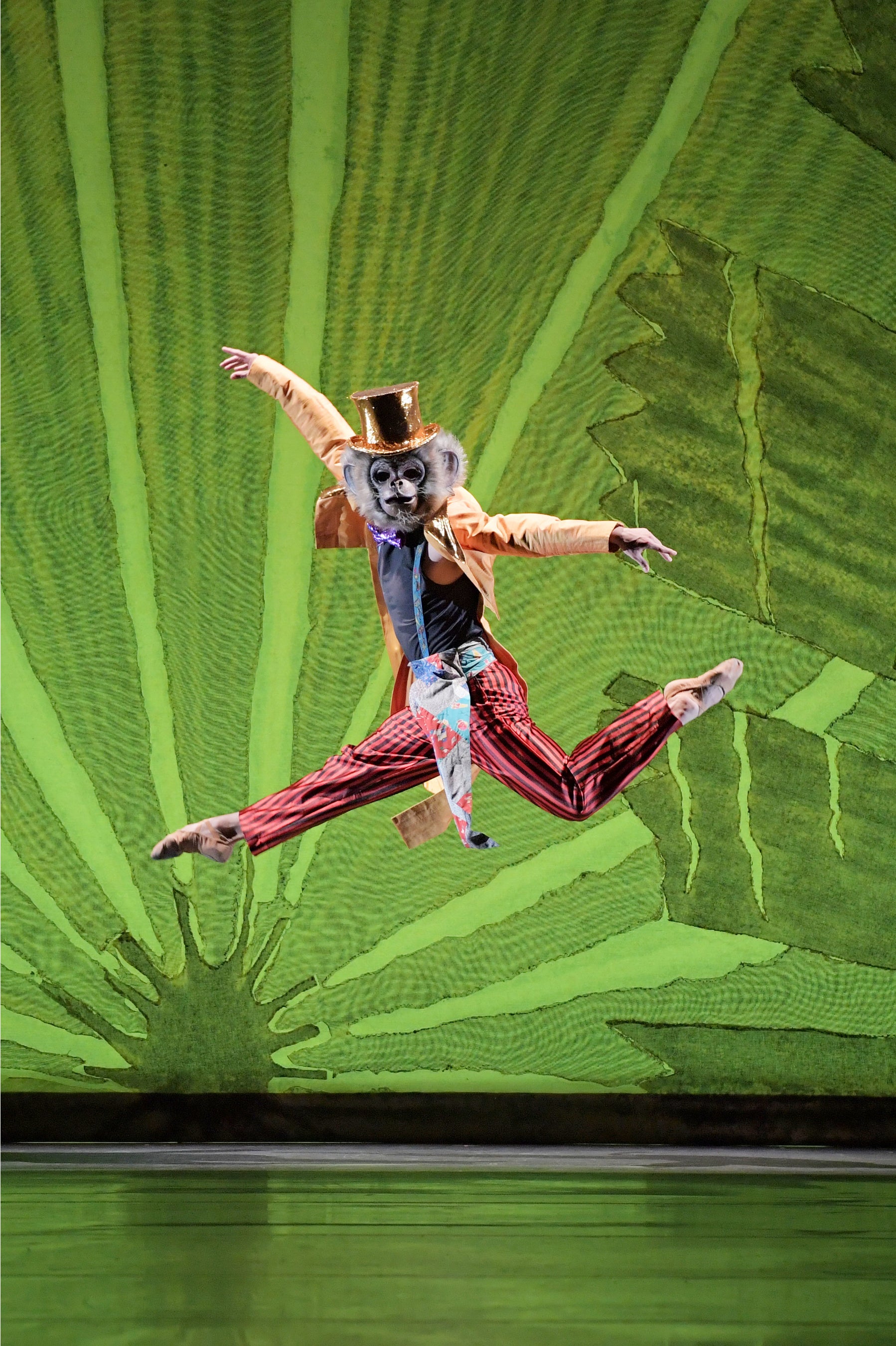 ブラジルのウーリーモンキー　撮影：鹿摩隆司