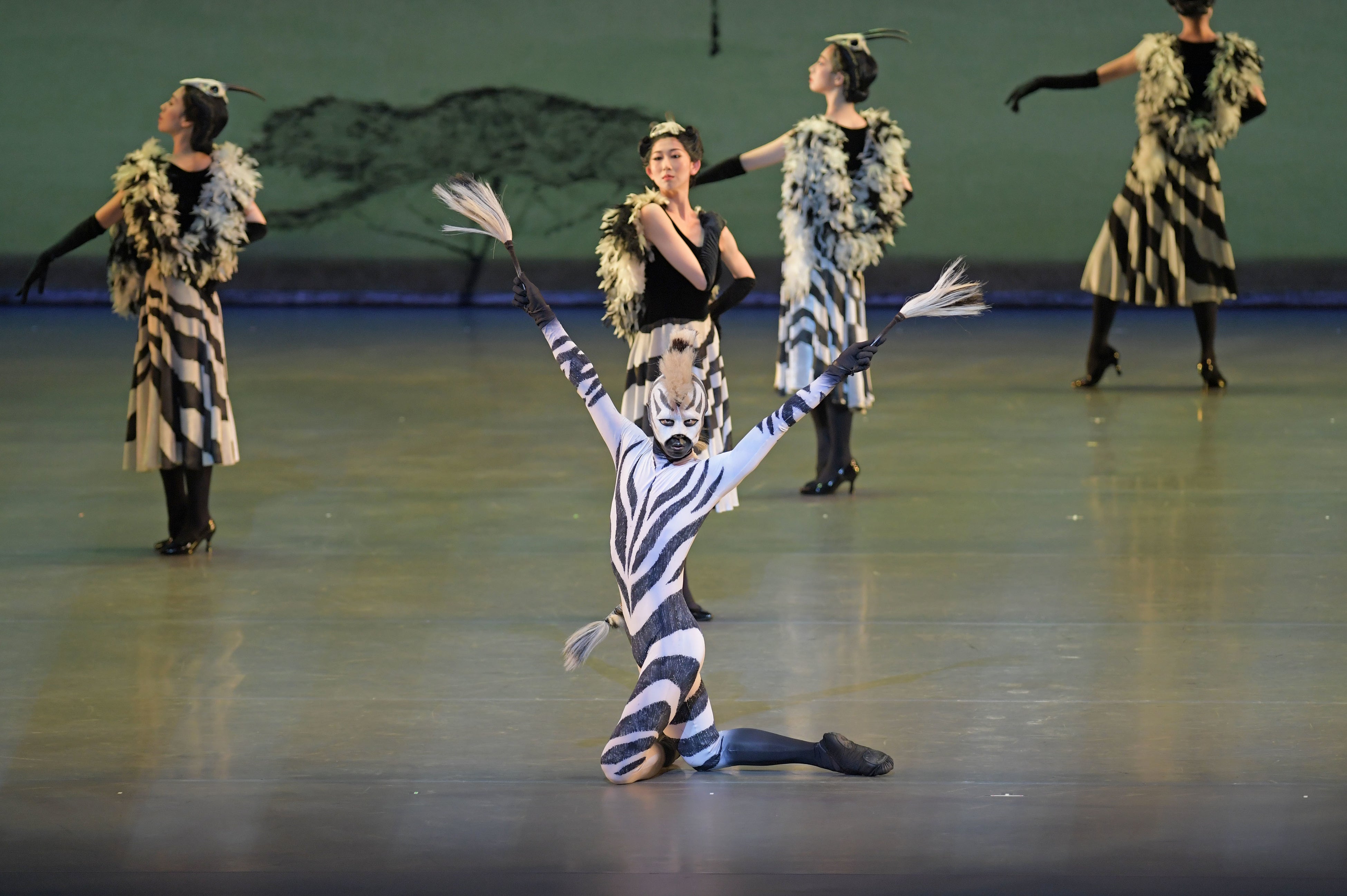 ケープヤマシマウマ　撮影：鹿摩隆司