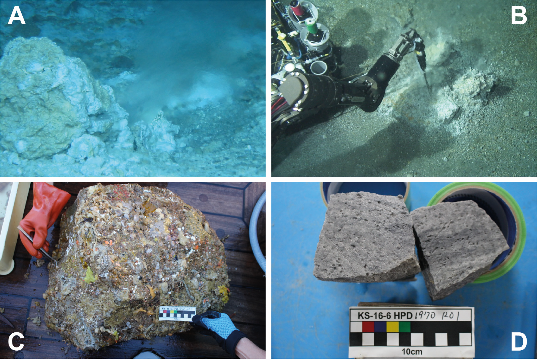 図２大室ダシの海底画像と採取された岩石試料