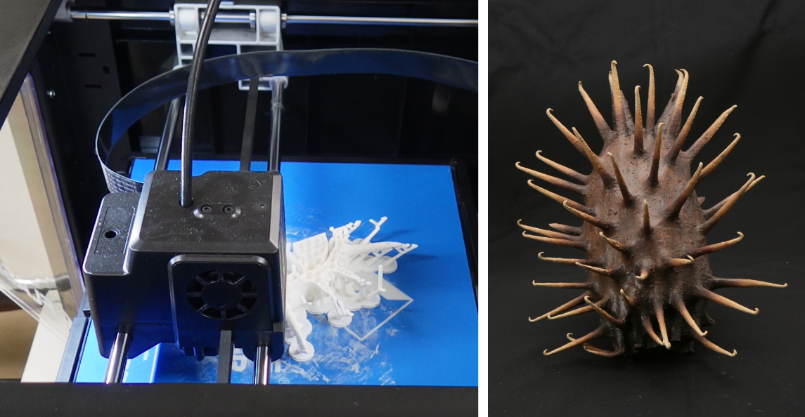 オオオナモミの果実の３Dプリンター模型の作成 ©筑波実験植物園