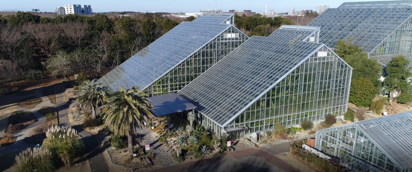 ドローンで撮影した植物園の温室 ©筑波実験植物園