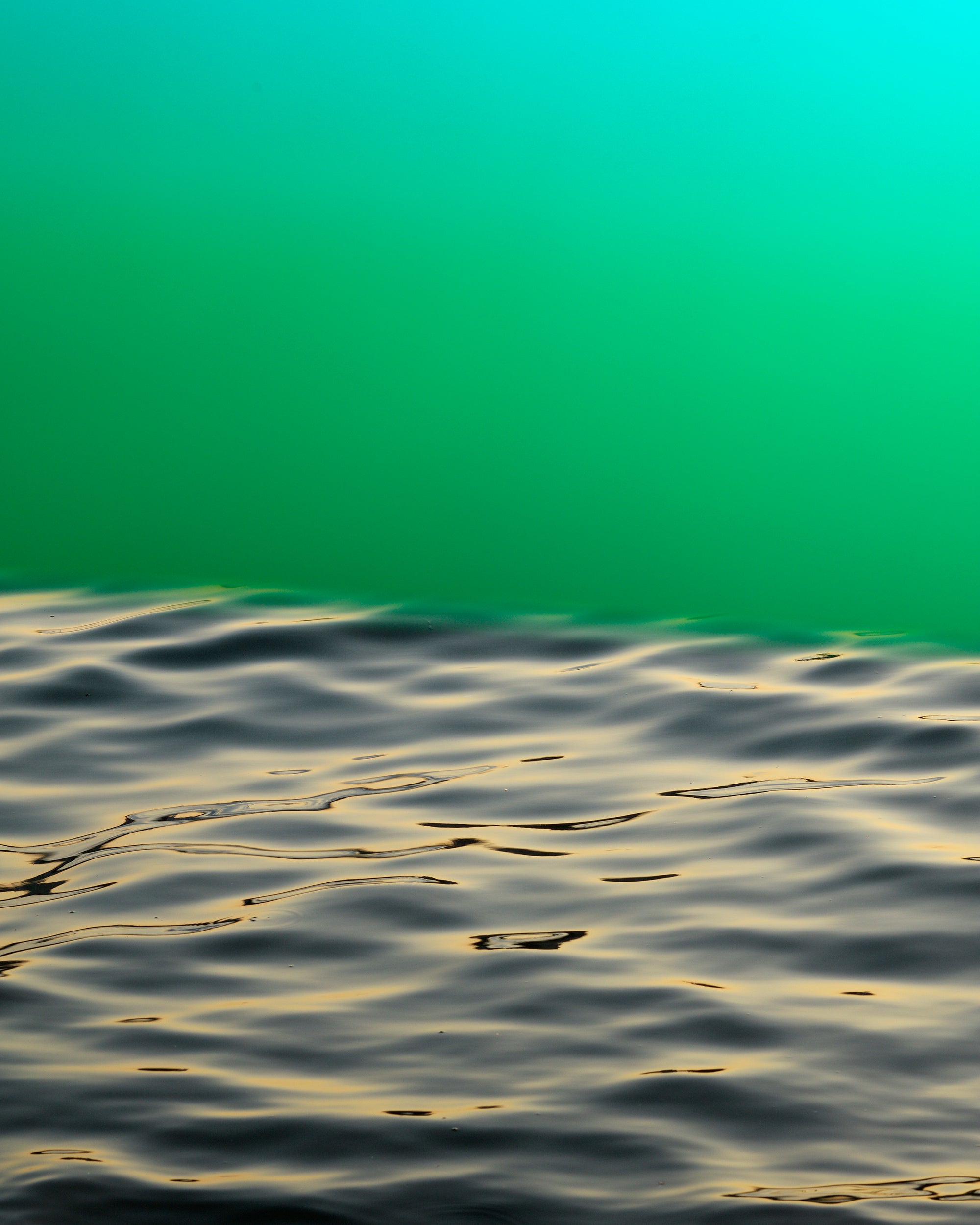 参考画像：Untitled (GR) , 2021