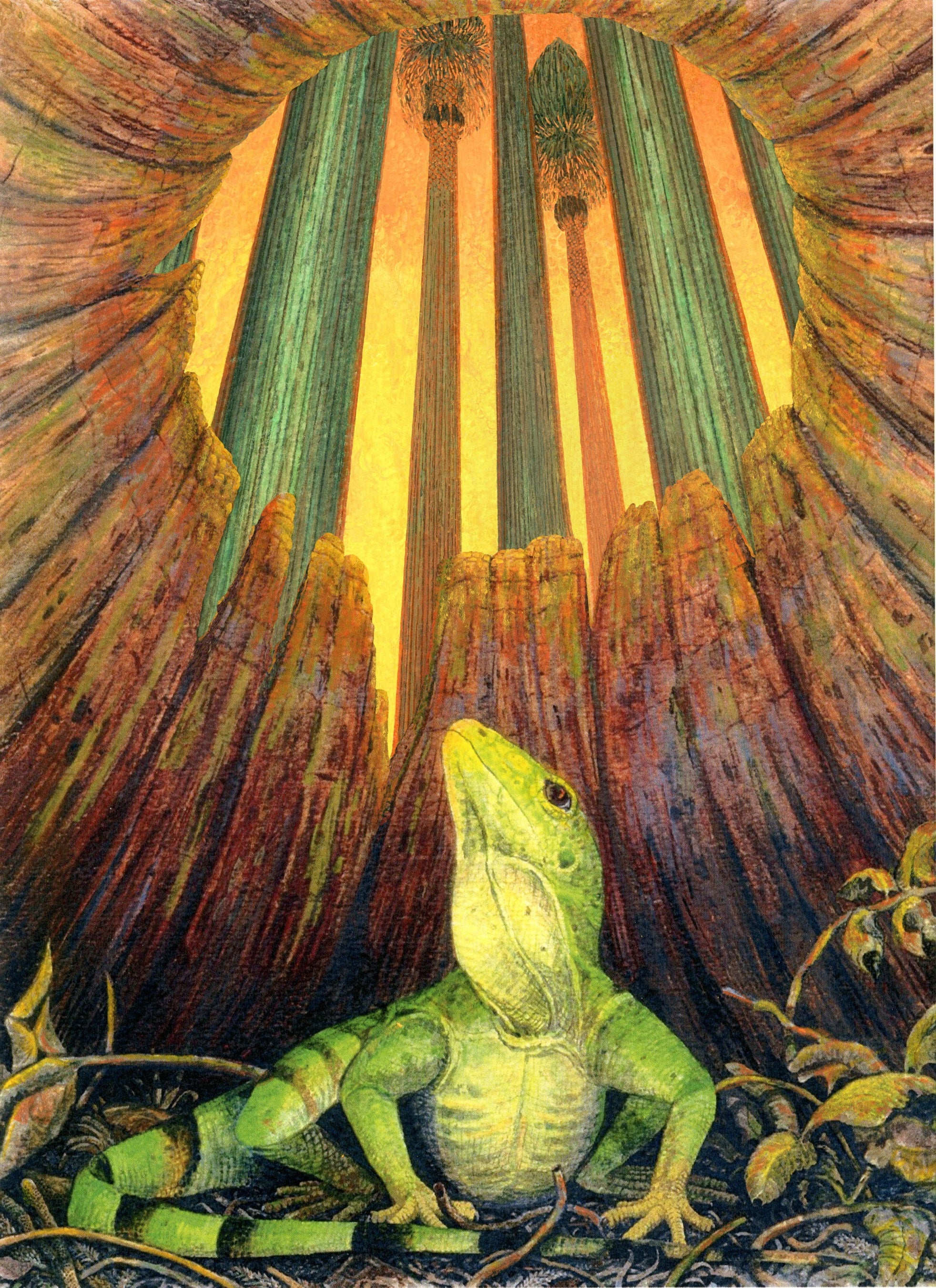 木のウロに隠れるトカゲ（絵提供：Steve Greb）