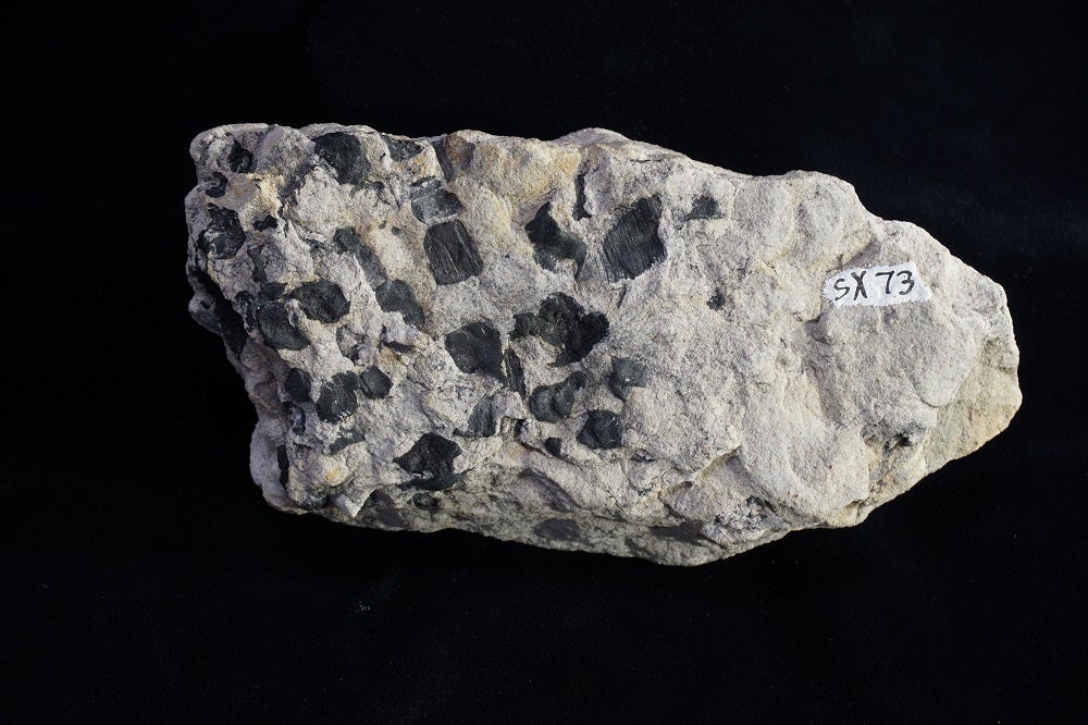 地層に含まれる火の化石チャコール（所蔵：Andrew C. Scott）