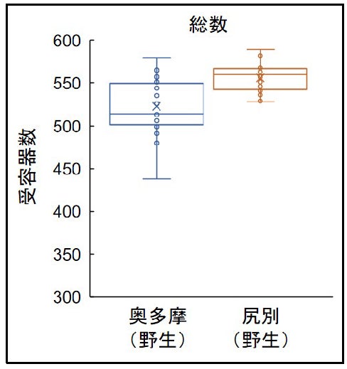 国立科学博物館 サクラマスの感覚が短期間で鈍る可能性 魚類の飼育方法に一石を投じるデータ 文化庁のプレスリリース 国立科学博物館 サクラマスの感覚が短期間で鈍る可能性 魚類の飼育方法に一石を投じるデータ 文化庁のプレスリリース